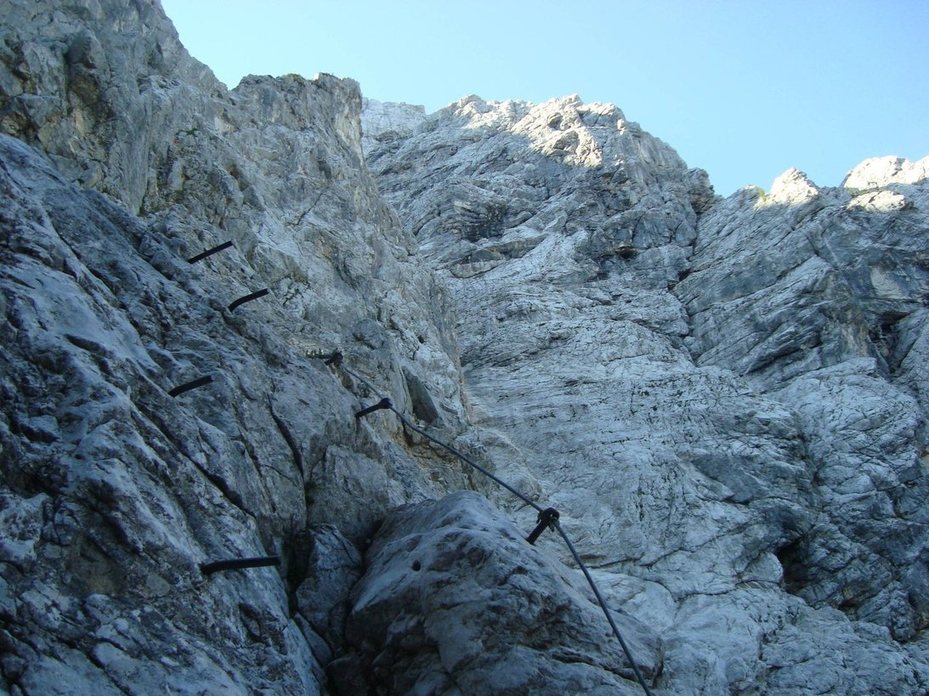 Žrelo