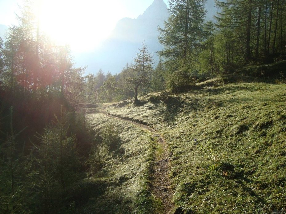 Vabi