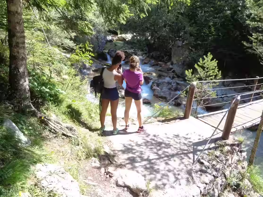 turisti